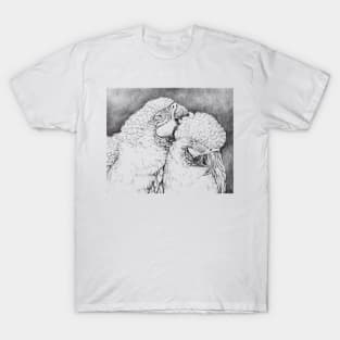 Parrots T-Shirt